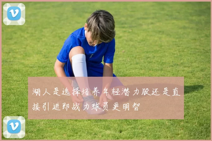 湖人是选择培养年轻潜力股还是直接引进即战力球员更明智