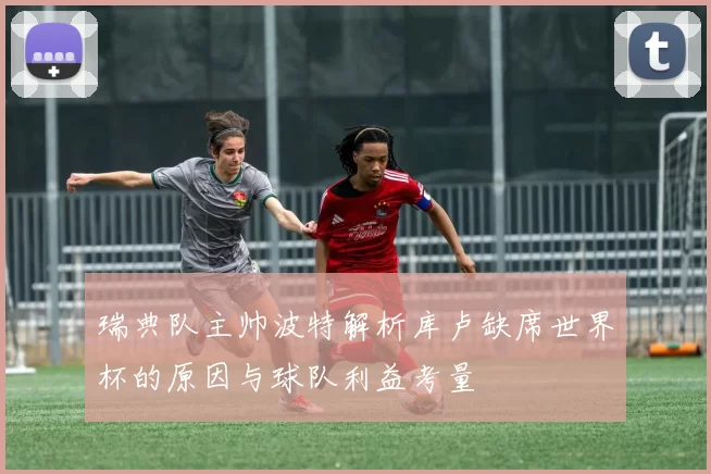 瑞典队主帅波特解析库卢缺席世界杯的原因与球队利益考量